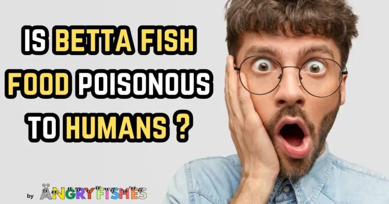 is betta fish food poisonous to humans