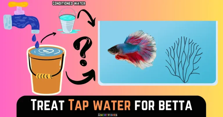 treat tap water for betta fish tank