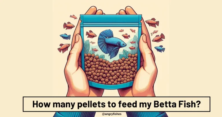 how many pellets to feed betta