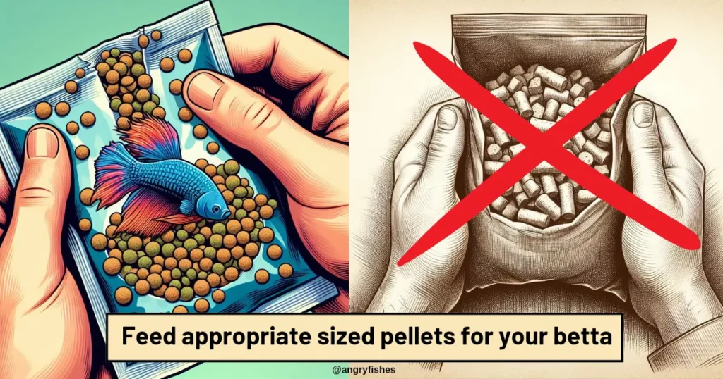 feed correct sized pellets